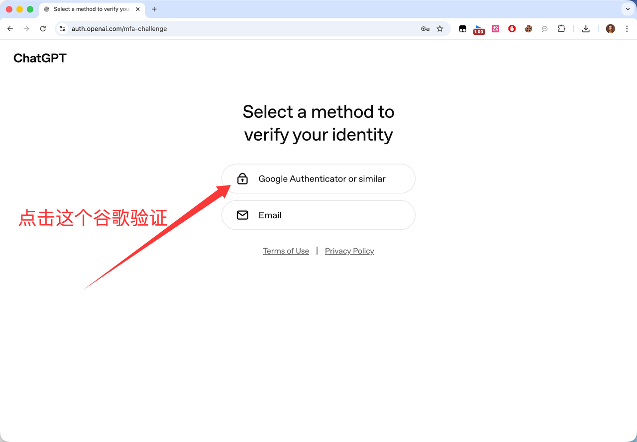 2FA 输入界面 2